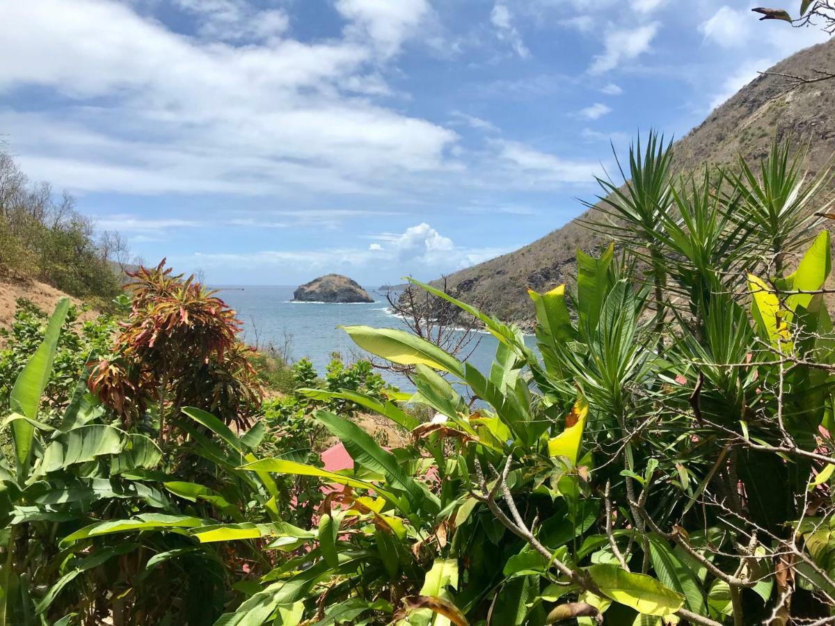 Villa Figues Et Mangos Terre-De-Haut Esterno foto