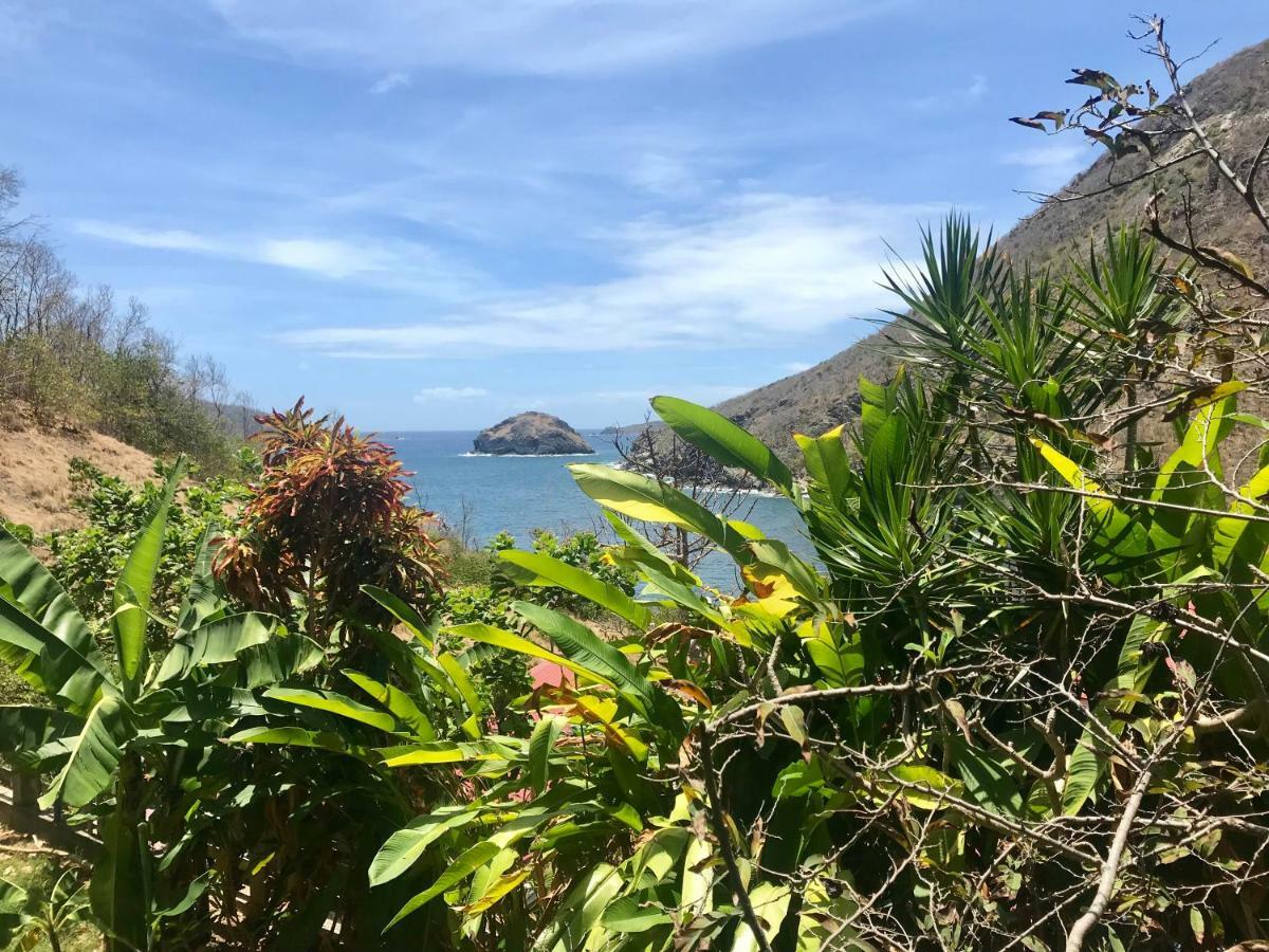 Villa Figues Et Mangos Terre-De-Haut Esterno foto